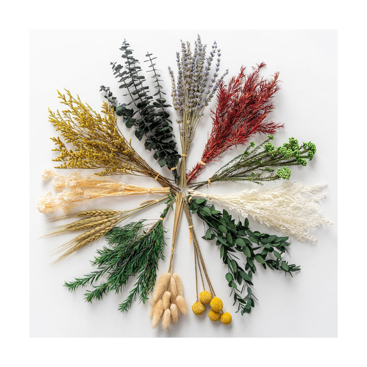12 Kind Dried Flowers Set - Including Lavender, Eucalyptus, Wheat, Bunny Tails, Handmade for DIY Crafts, Vase Decor, Wedding/Home/Birthday/Seasonal Decor