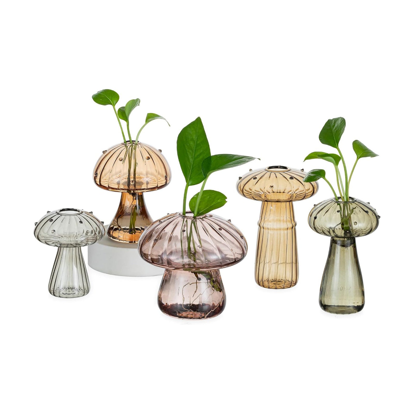Unique Propagation Jars Glass Planter / Multi-amber / Set of 5