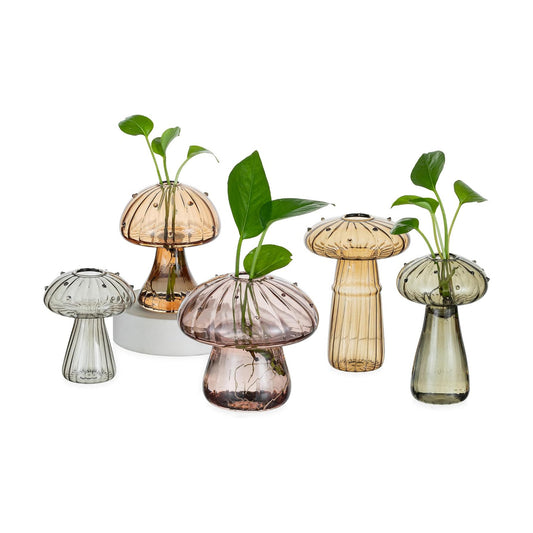 Unique Propagation Jars Glass Planter / Multi-amber / Set of 5