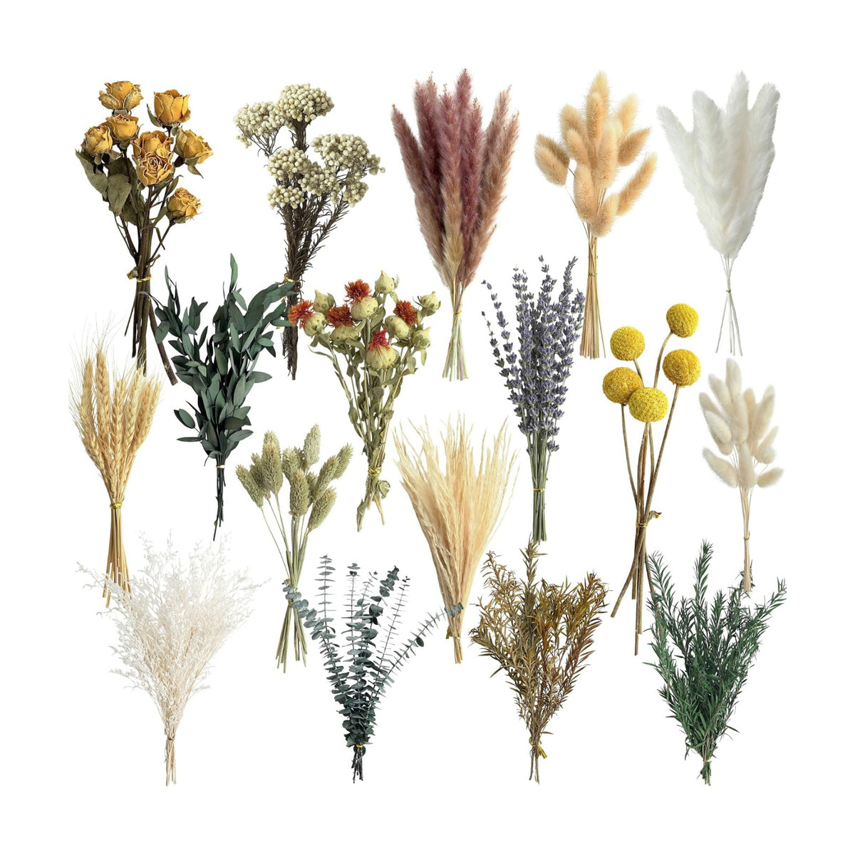 16 Varieties Dried Flowers Set, Mini Natural Dried Flowers Bulk with Stems for Vase Fillers, DIY Crafts, Wreath Making, Rustic Farmhouse Boho Home Decor, Wedding Floral Arrangement Brown Mix (7"-8")