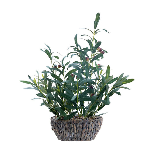 Lifelike Leaves in Oval Rattan Woven Planter Faux / 21" Olive Plant