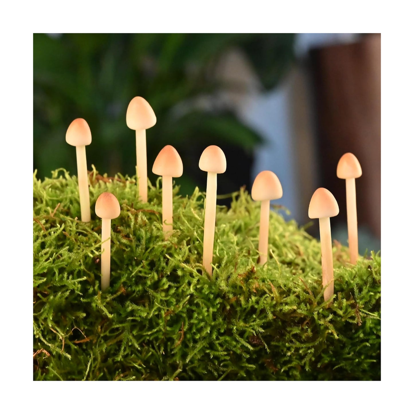 Mini Mushrooms for Crafts / Set of 16