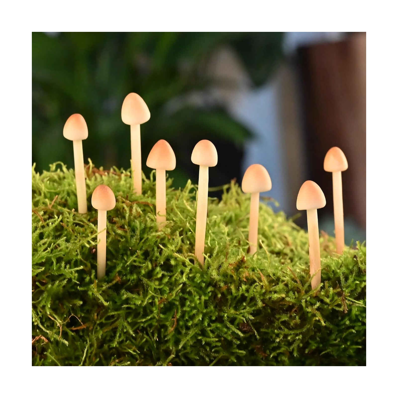 Mini Mushrooms for Crafts / Set of 16