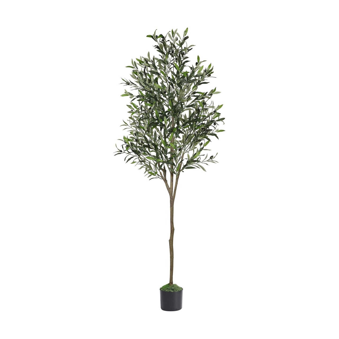 Olive Tree Artificial Indoor / 6ft / 6 Inch