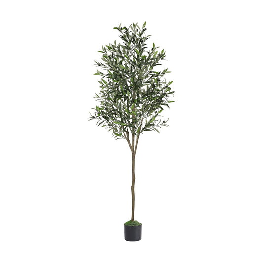 Olive Tree Artificial Indoor / 6ft / 6 Inch