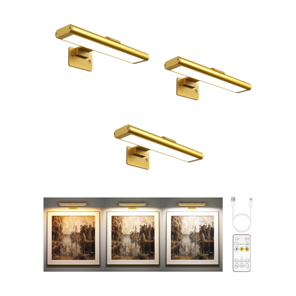 EZVALO Picture Light for Wall, Rechargeable 2400mAh Gold Lights Wireless with IR Remote, 3 Color & Dimmable Magnetic