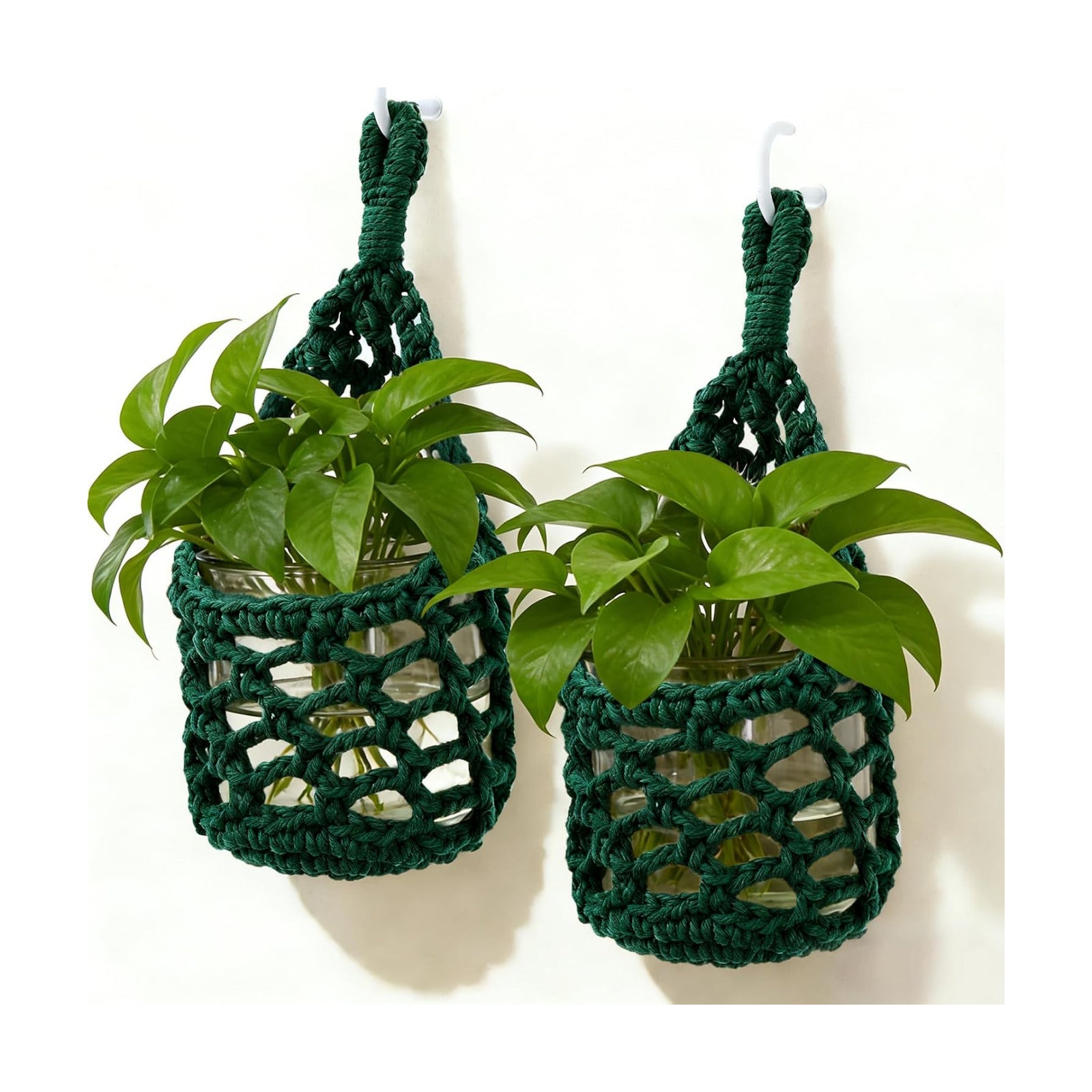 Macrame Wall Plant Hanger / Green / 4-inch / 4 Inch