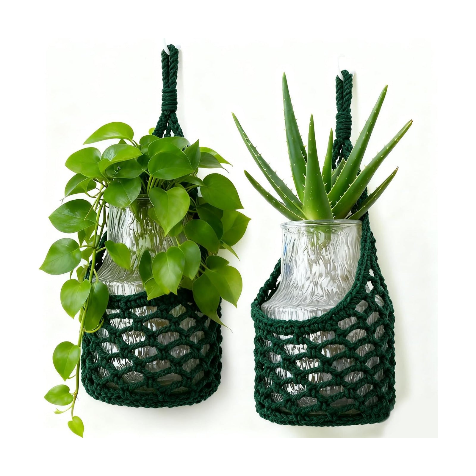 Macrame Wall Plant Hanger / Green / 6-inch / 6 Inch
