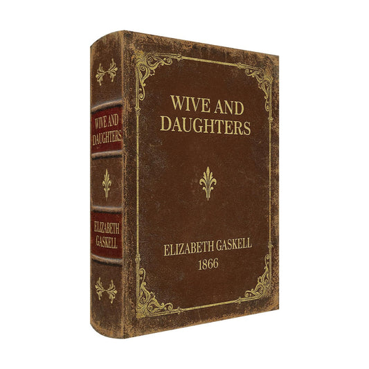 Vintage Faux Leather Decorative Book Box / 1 x Wives and Daughters