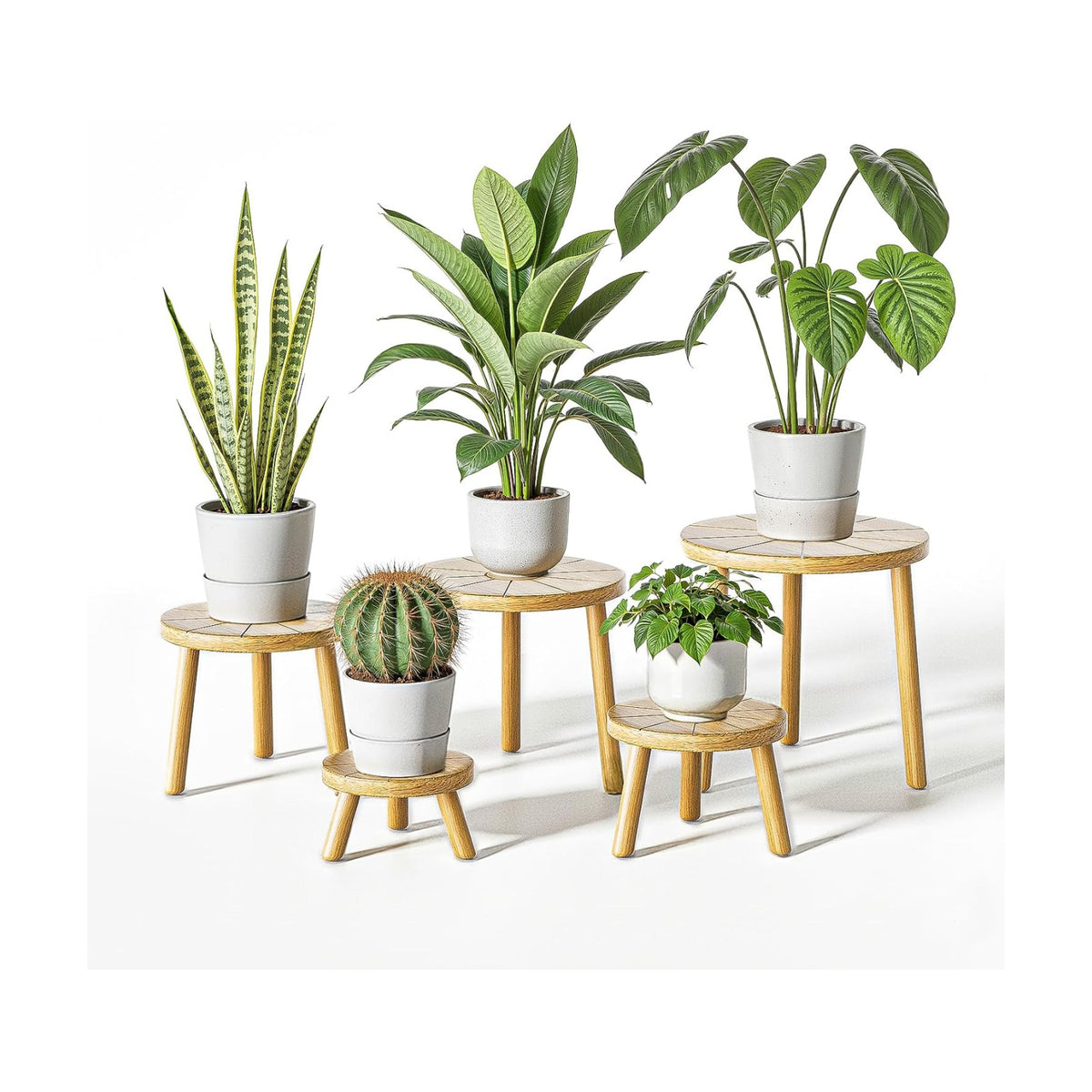Wood Plant Stands 5-Pack Indoor, Plant Stool, Light Brown | Premium carbonized pine with moisture-resistant, burr-free