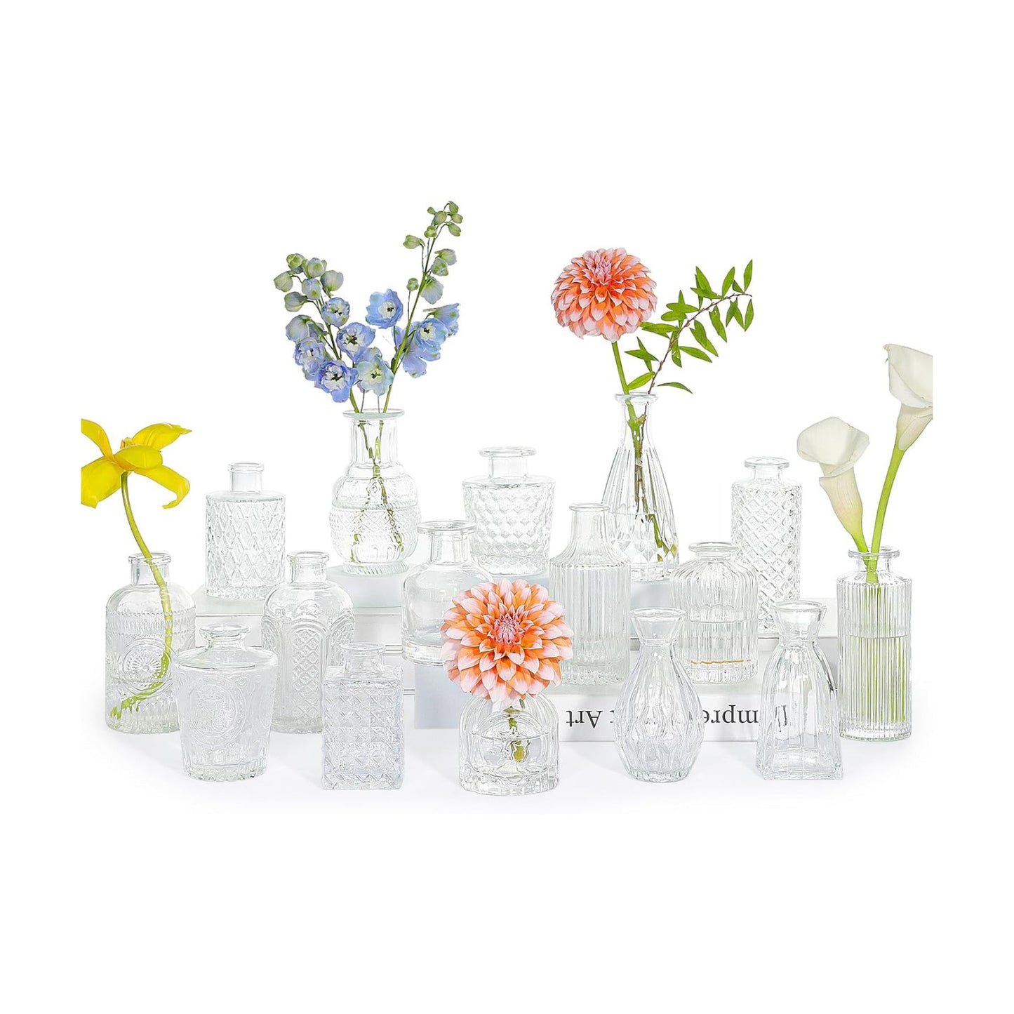Glass Bud Vase Set / Clear / Set of 16