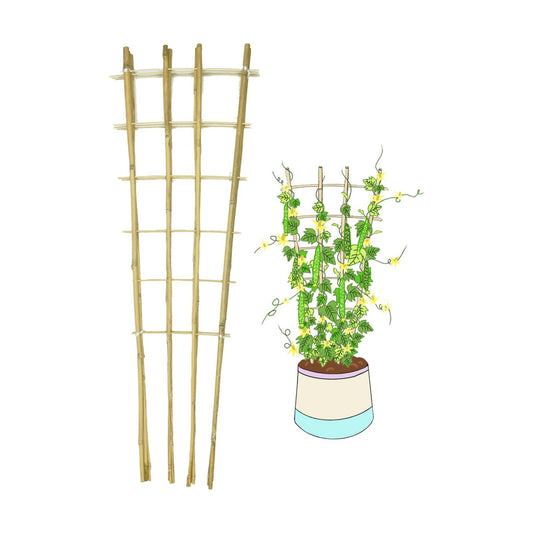 Natural Bamboo Trellis, 4.8Feet,3Pack,Fan-Shaped Plant Support Trellis for Outdoor and Indoor Potted Climbing
