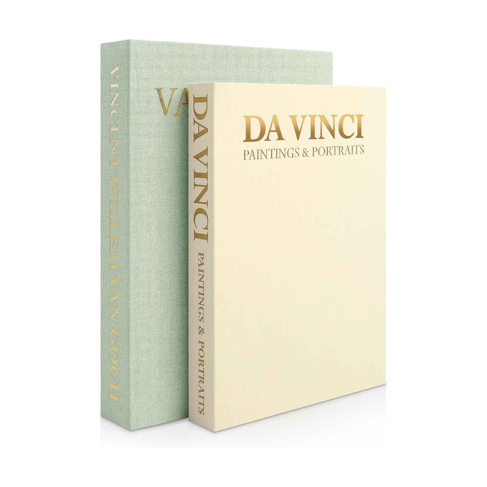 Faux Book Storage Boxes / Set of 2