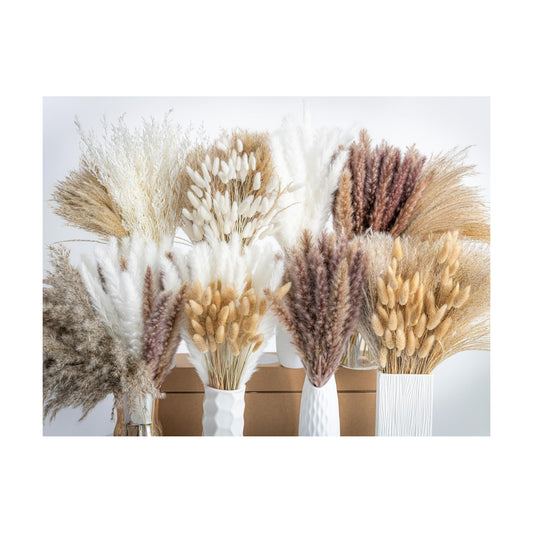 Dried Pampas Grass Boho Home Decor Bouquet Phragmites Dried Flowers Bouquet / Natural / Set of 650