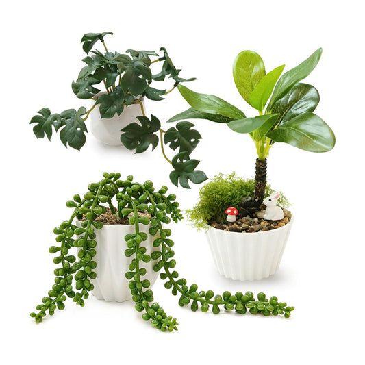 Realistic Artificial Plant Indoor / Set of 3
