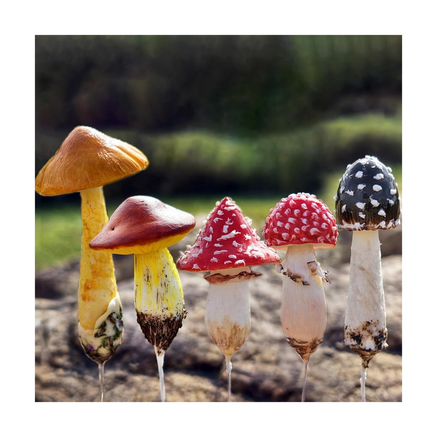 DIY Mini Mushrooms for Terrariums Potted Plant Holiday / Set of 5