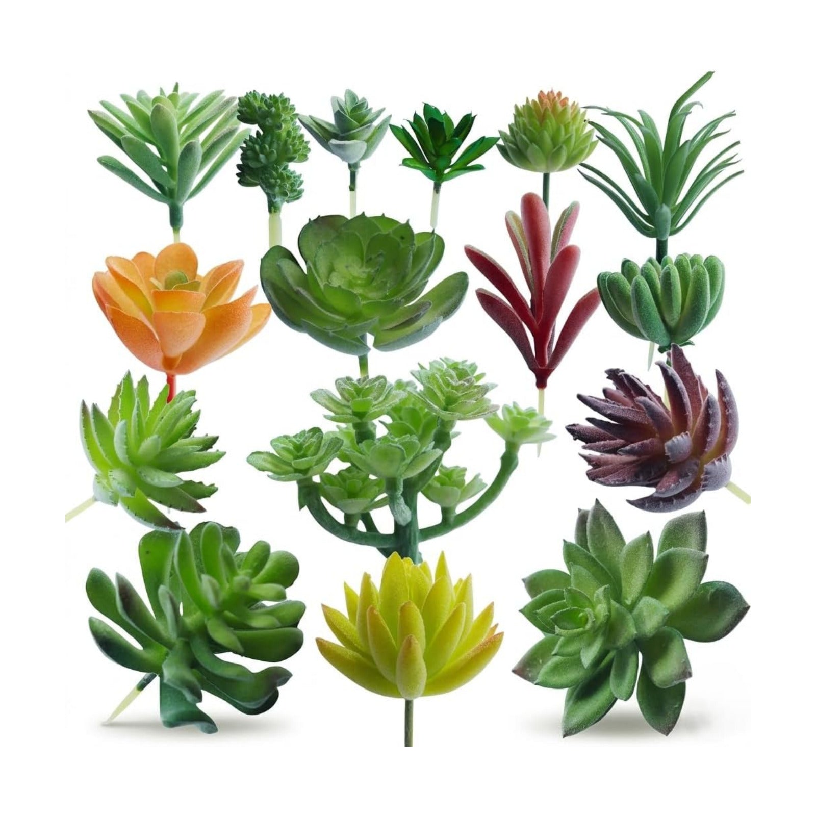 Artificial Succulent Plants / Set of 16