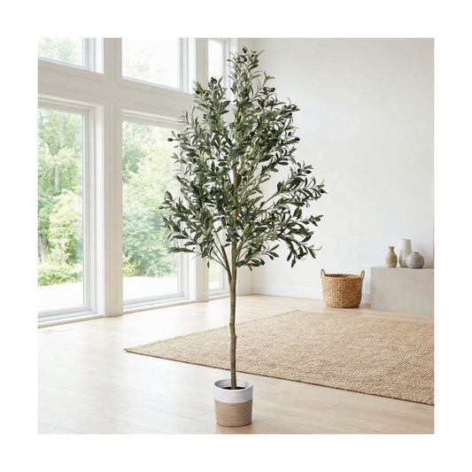Woven Basket / Realistic Faux Olive Tree / 5ft 11in / 6 Inch