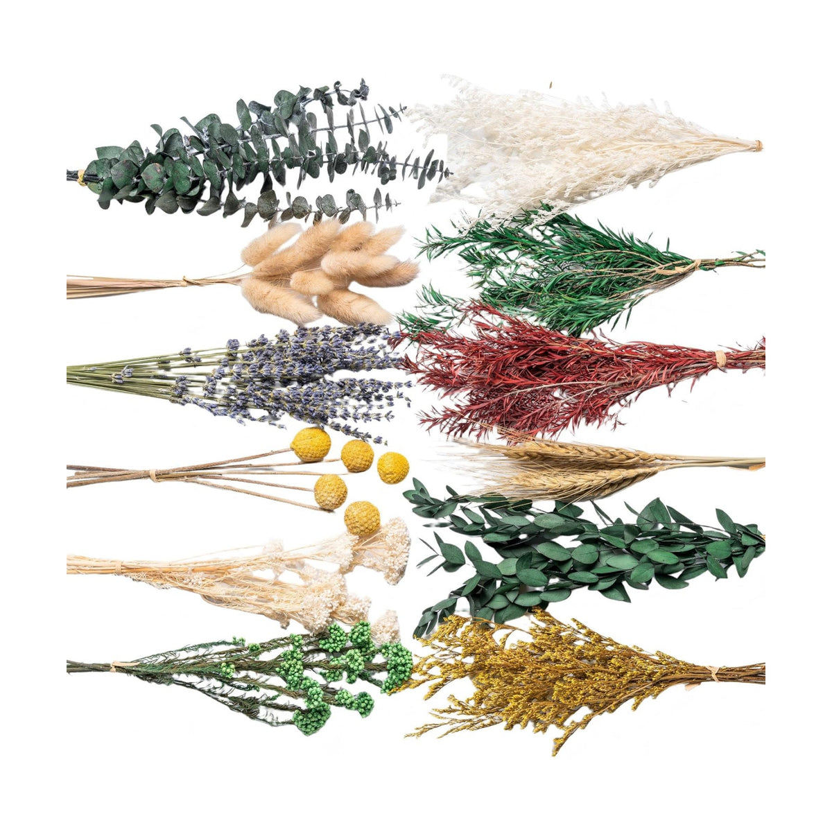 12kinds Natural Dried Flowers DIY kit ,10~12inch,Handpicked Including Lavender/Eucalyptus/Wheat,for Home Office Wedding Decor, Low-Maintenance