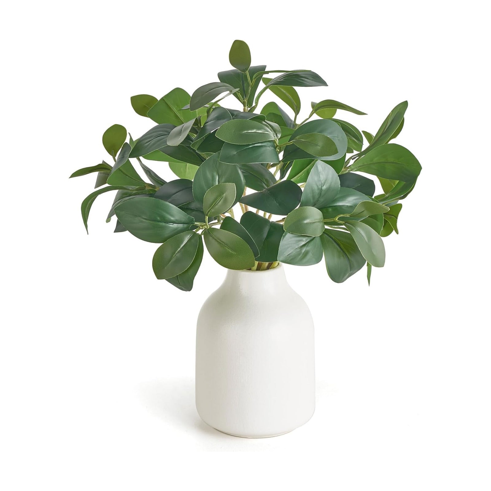 Fake Plants in Small Ceramic Vase Realistic Artificial Faux Plants Indoor Modern / White / 10 Inch
