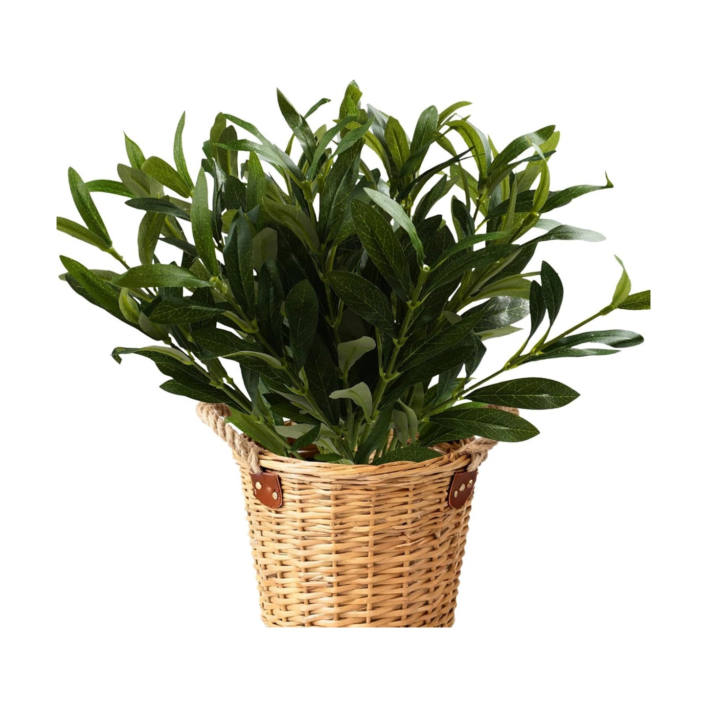 Faux Olive Branches for Vase / Without Fruit / Set of 8