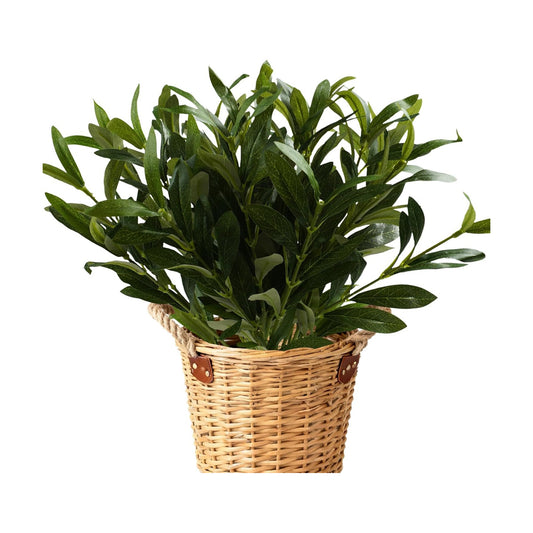 Faux Olive Branches for Vase / Without Fruit / Set of 8