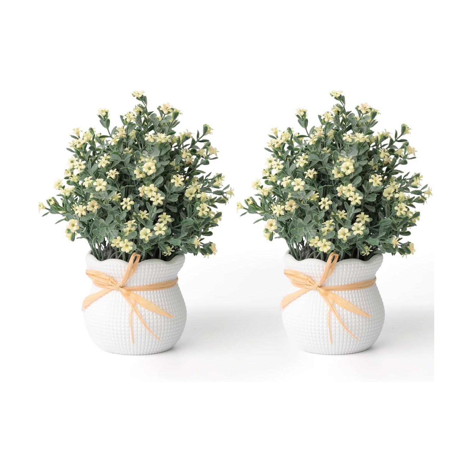 Faux Plants Indoor / Ivory / Floral / Set of 2