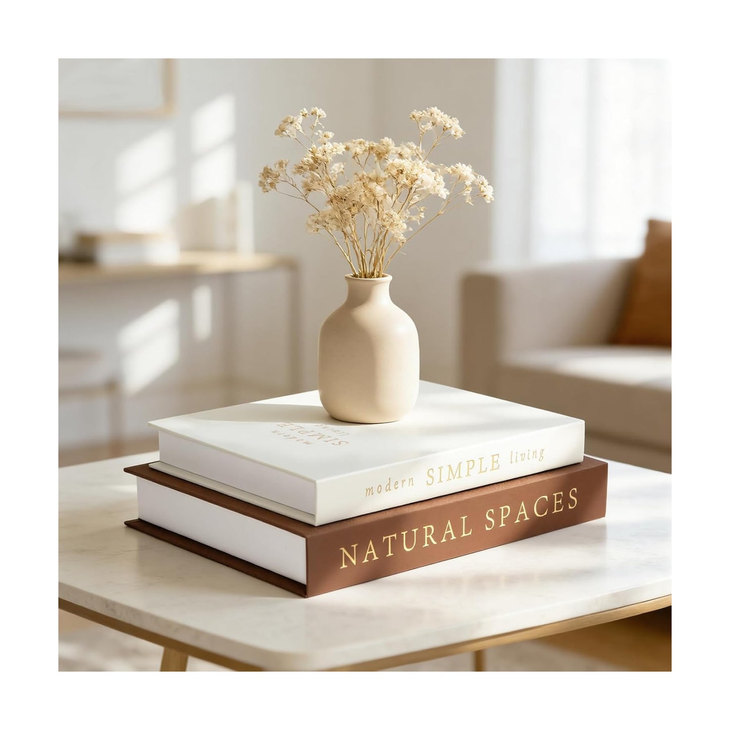 Stylish Boxes / Exquisite Decorative Books / Set of 2