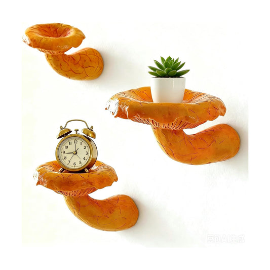 Resin Cottagecore Wall Shelves Art / Set of 3