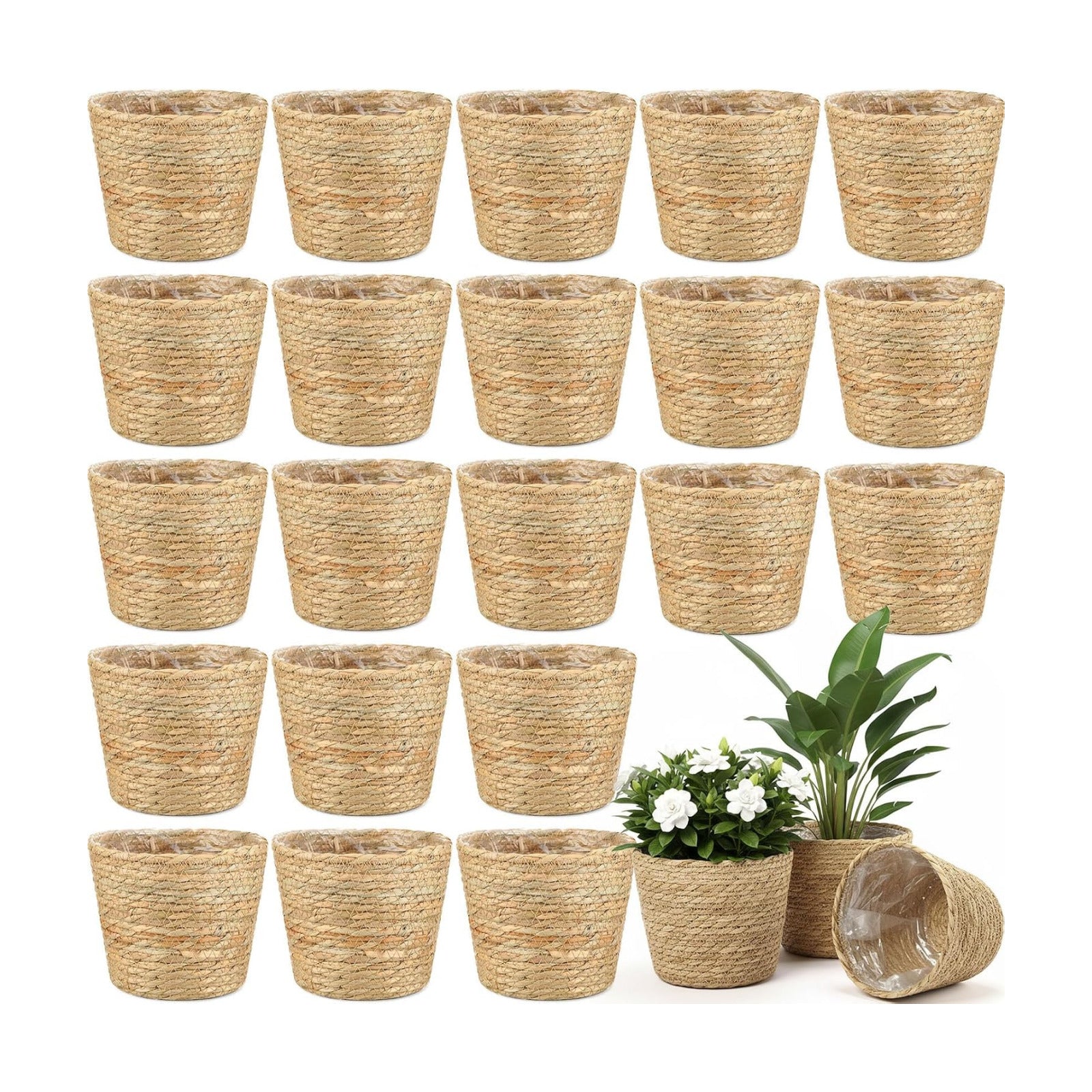 Wicker Plant Basket Bulk / Small / Rustic / Set of 24