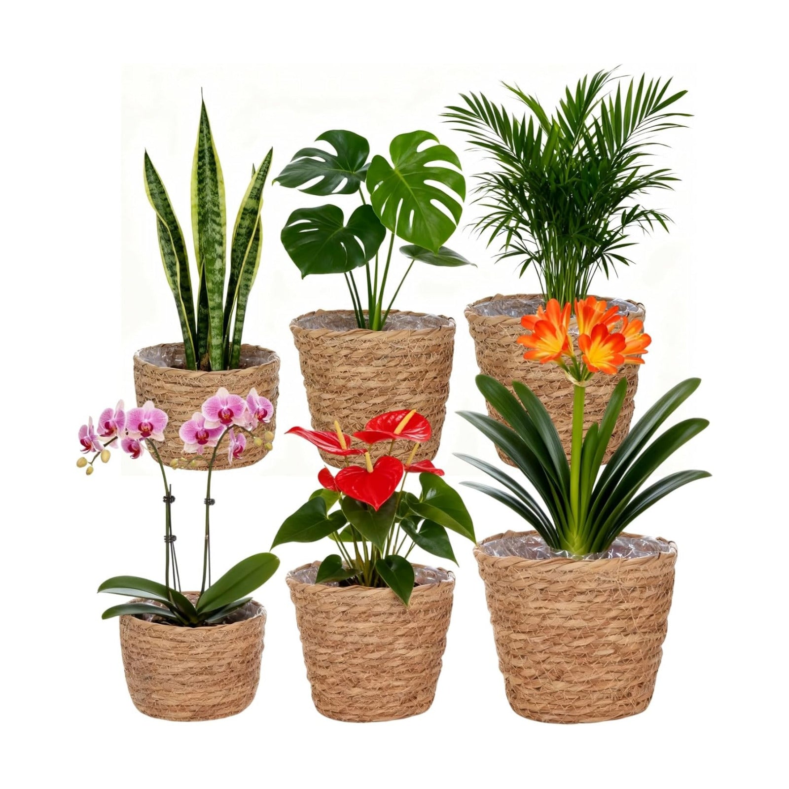 Wicker Hand Woven Plant Baskets / Set of 6