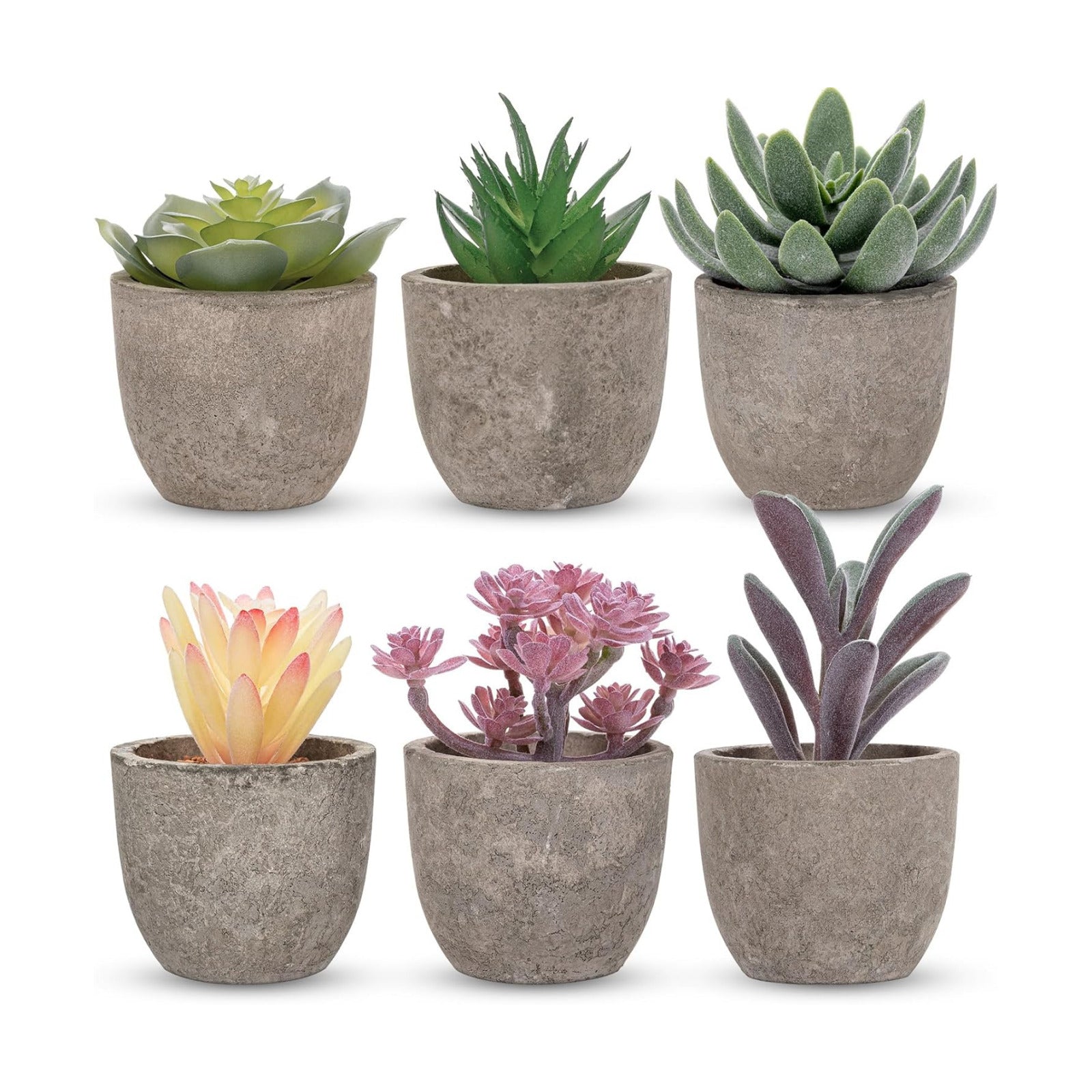 Realistic Mini Fake Cactus Plants in Paper Pulp Pots / Classic Style / Set of 6