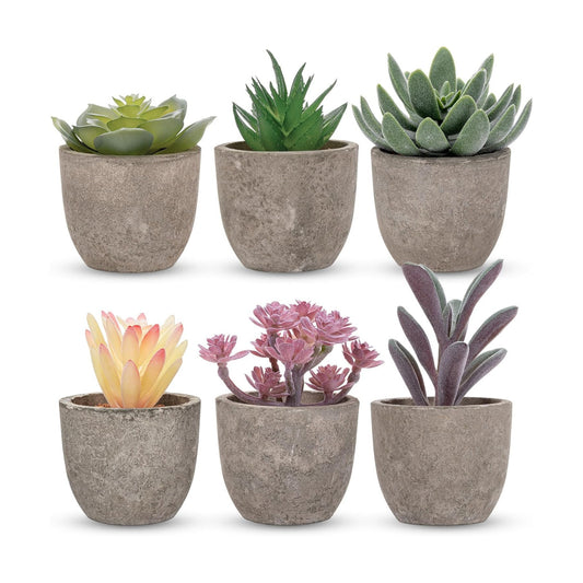 Realistic Mini Fake Cactus Plants in Paper Pulp Pots / Classic Style / Set of 6