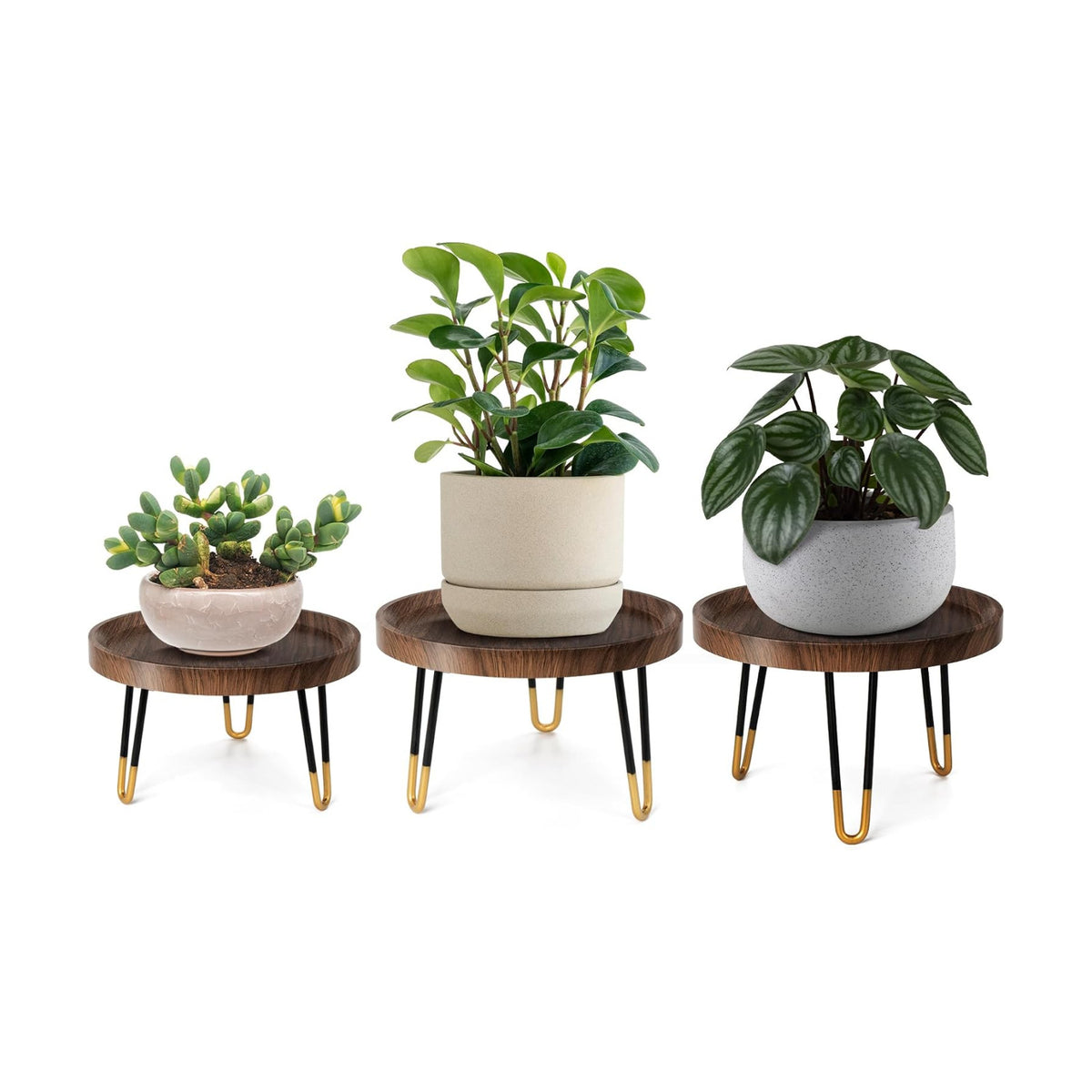 OBTAIN Plant Stand Indoor Outdoor,3 Set Mid Century Style Walnut Wood Color Plant Stand,Waterproof Design Modern Plant