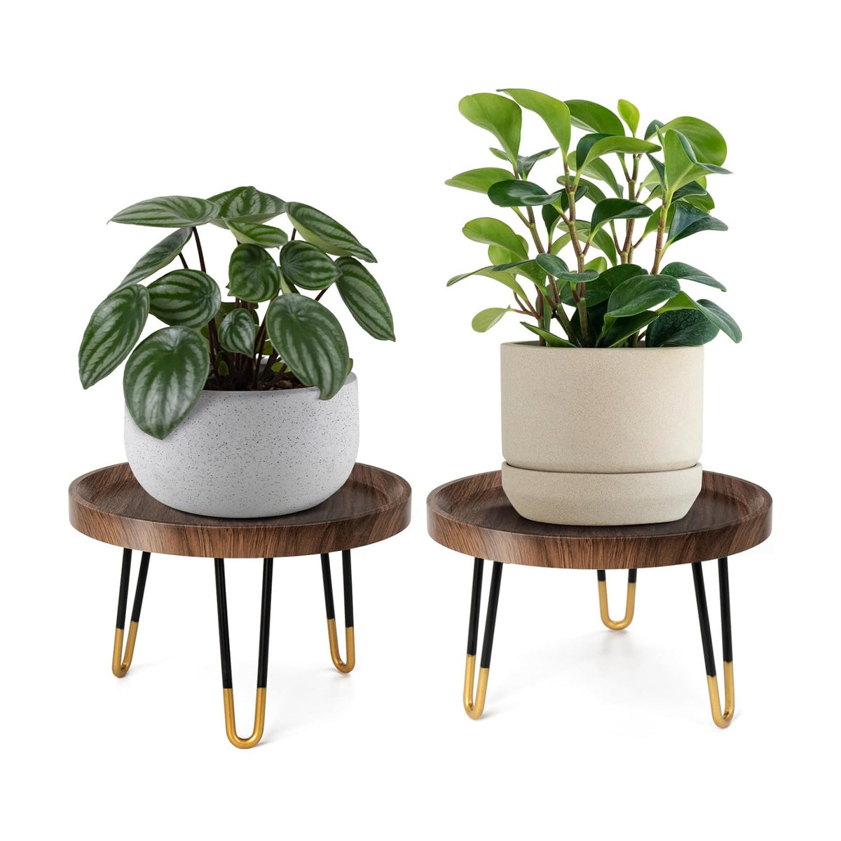 OBTAIN Plant Stand Indoor Outdoor,2 Set Mid Century Style Walnut Wood Color Plant Stand,Waterproof Design Modern Plant