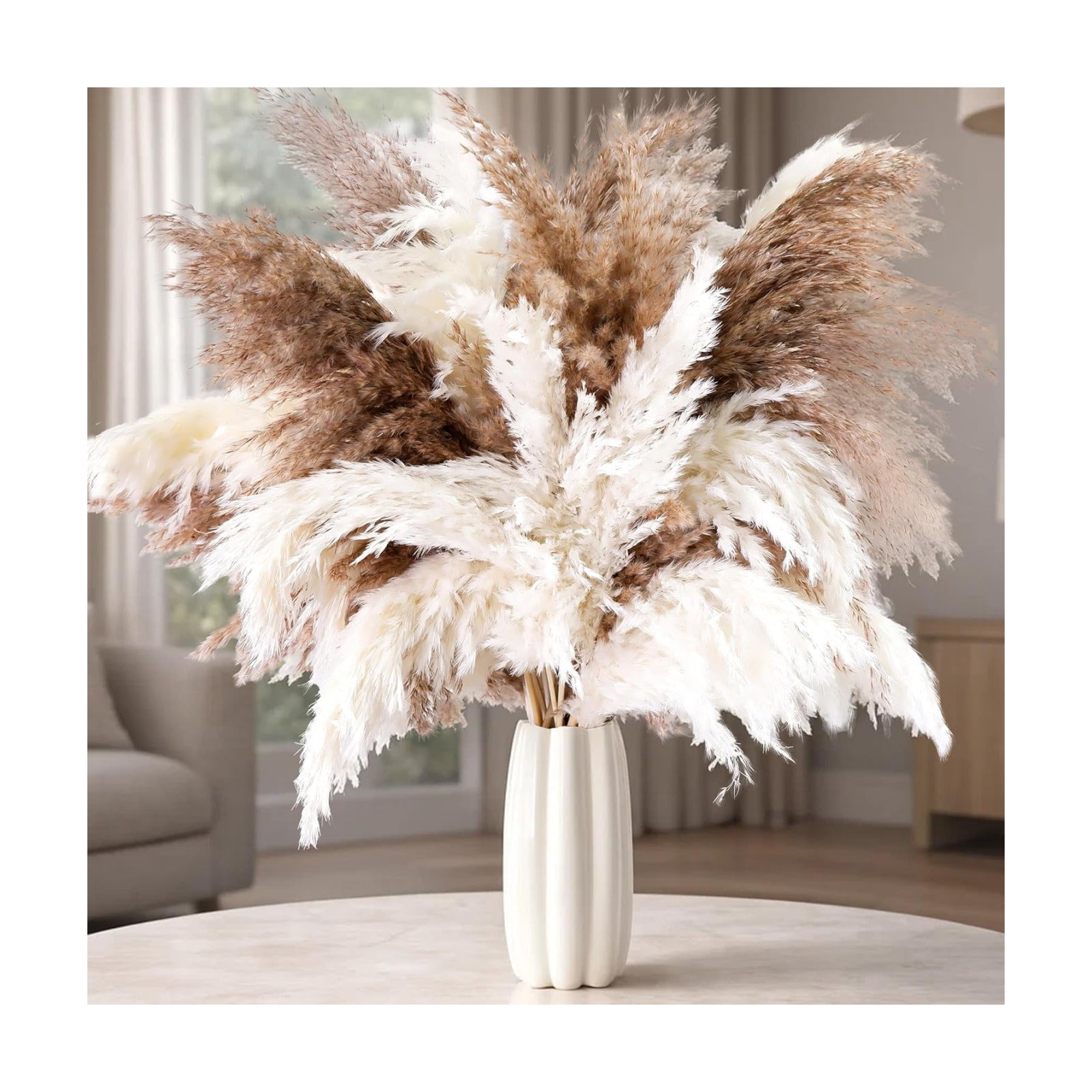 Tall Pampas Grass for Floor Vase / Natural / Set of 50