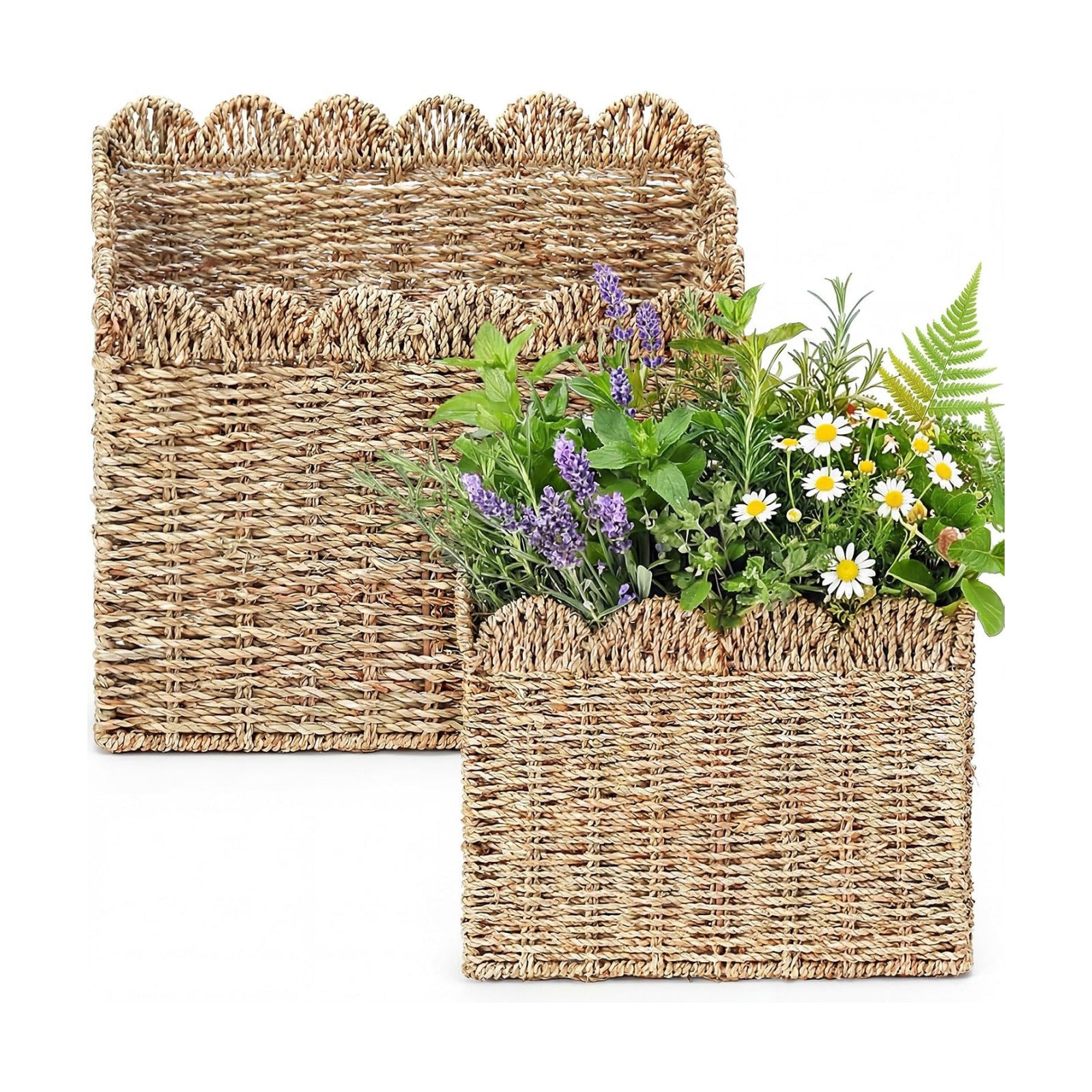 Scalloped Seagrass Basket for Organizing Woven Wall Baskets for Front Door Mail Flowers / Set of 2