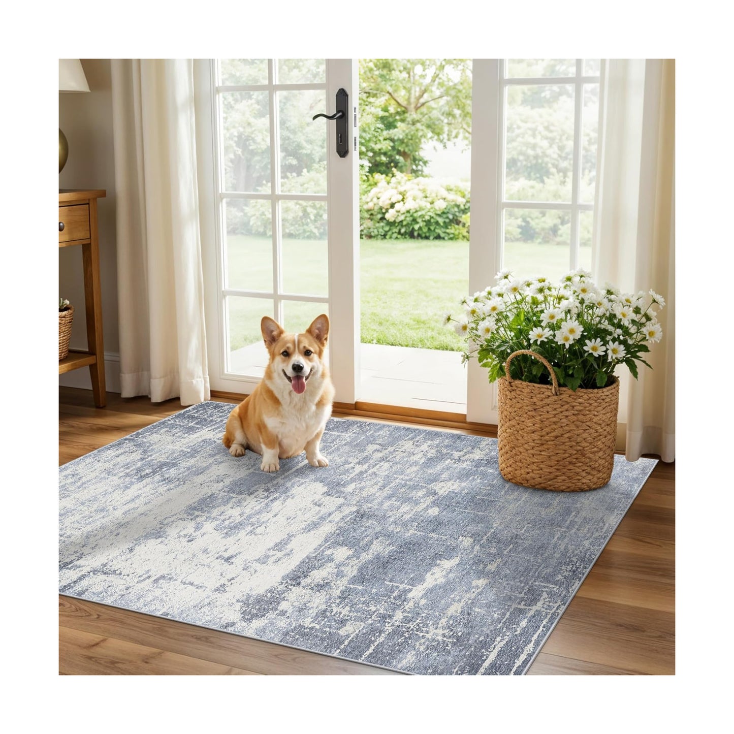 Washable 3x4 Kitchen Area Rugs: Abstract Stain-Resistant Sink Rug Non-Slip Durable Doormat Soft Bedroom Nursery Besides