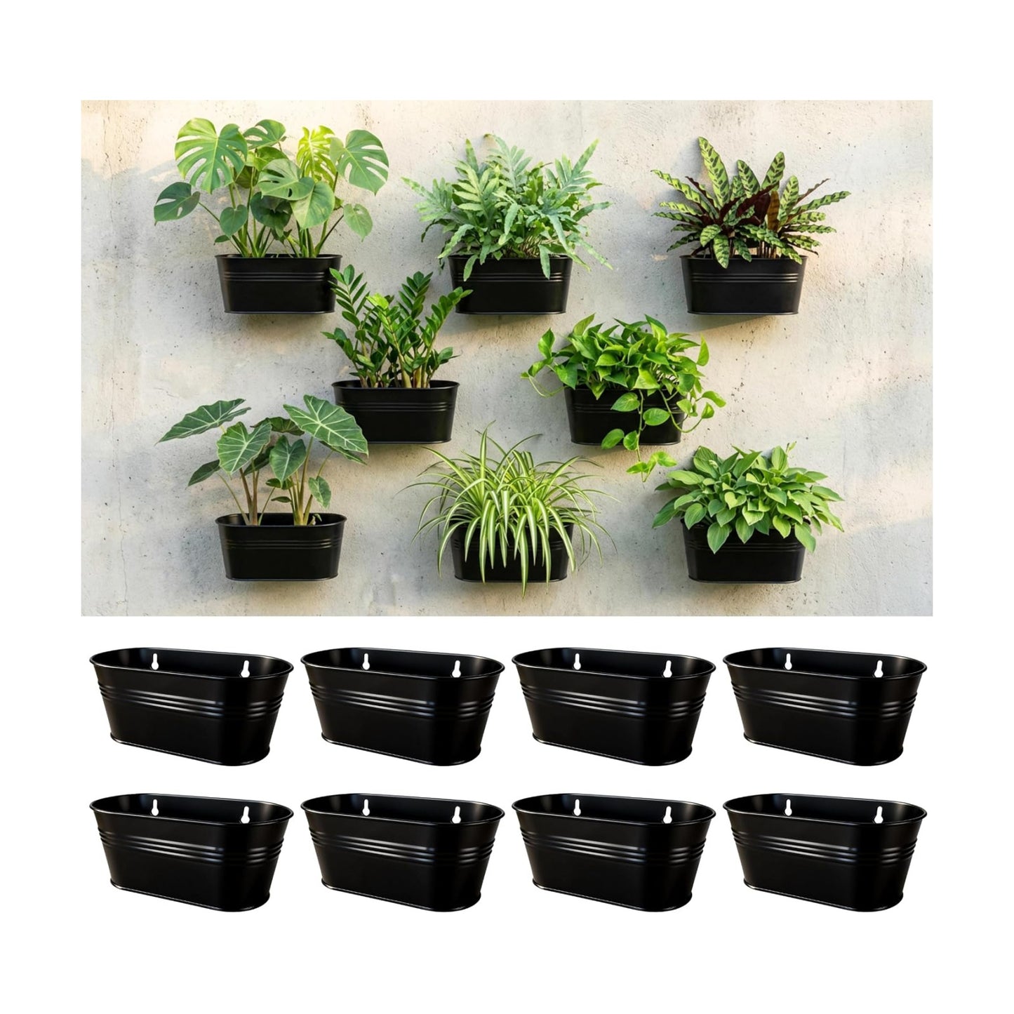LaLaGreen Wall Planter Oval Metal Hanging Decor Plant Holder Indoor / 9.8 x 8 / Black / Set of 8