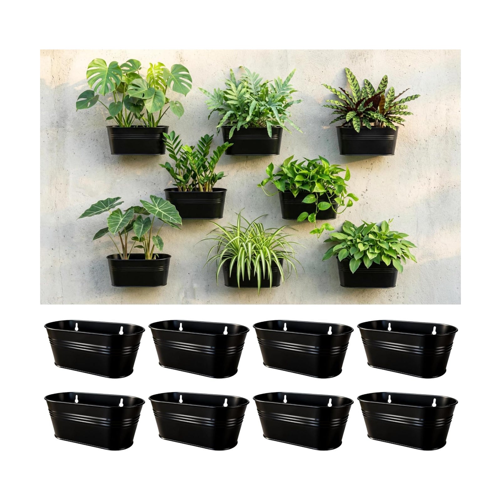 LaLaGreen Wall Planter Oval Metal Hanging Decor Plant Holder Indoor / 9.8 x 8 / Black / Set of 8