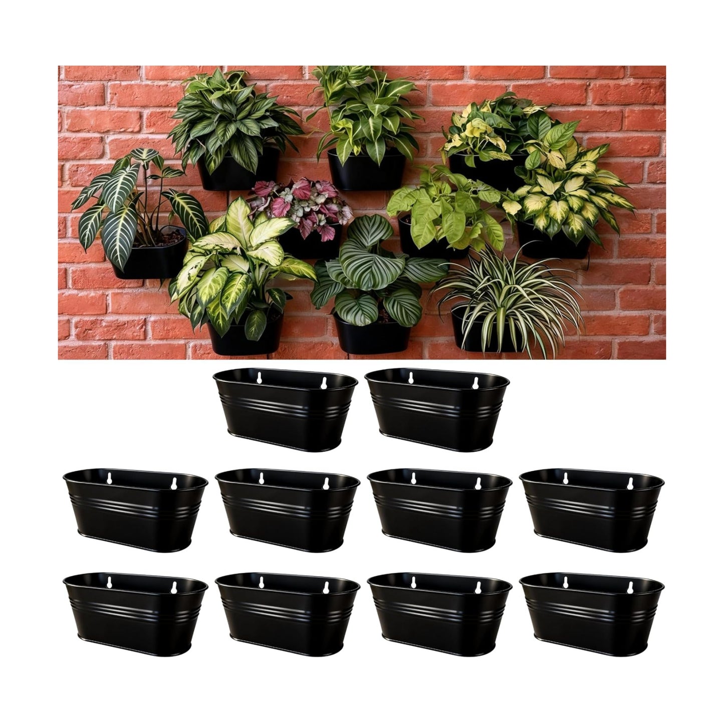 LaLaGreen Wall Planter Oval Metal Hanging Decor Plant Holder Wall / 9.8 x 10 / Black / Set of 10