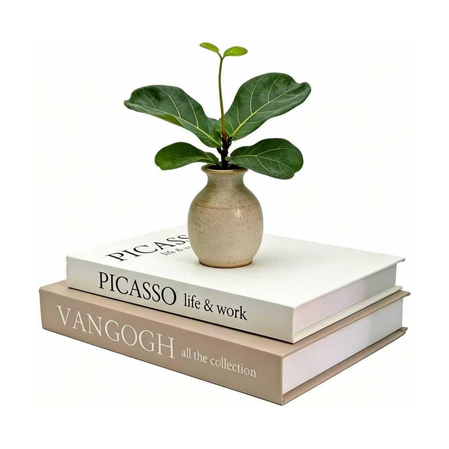 Linen Faux Fake Books for Decor Aesthetic / Beige & Apricot / Set of 2