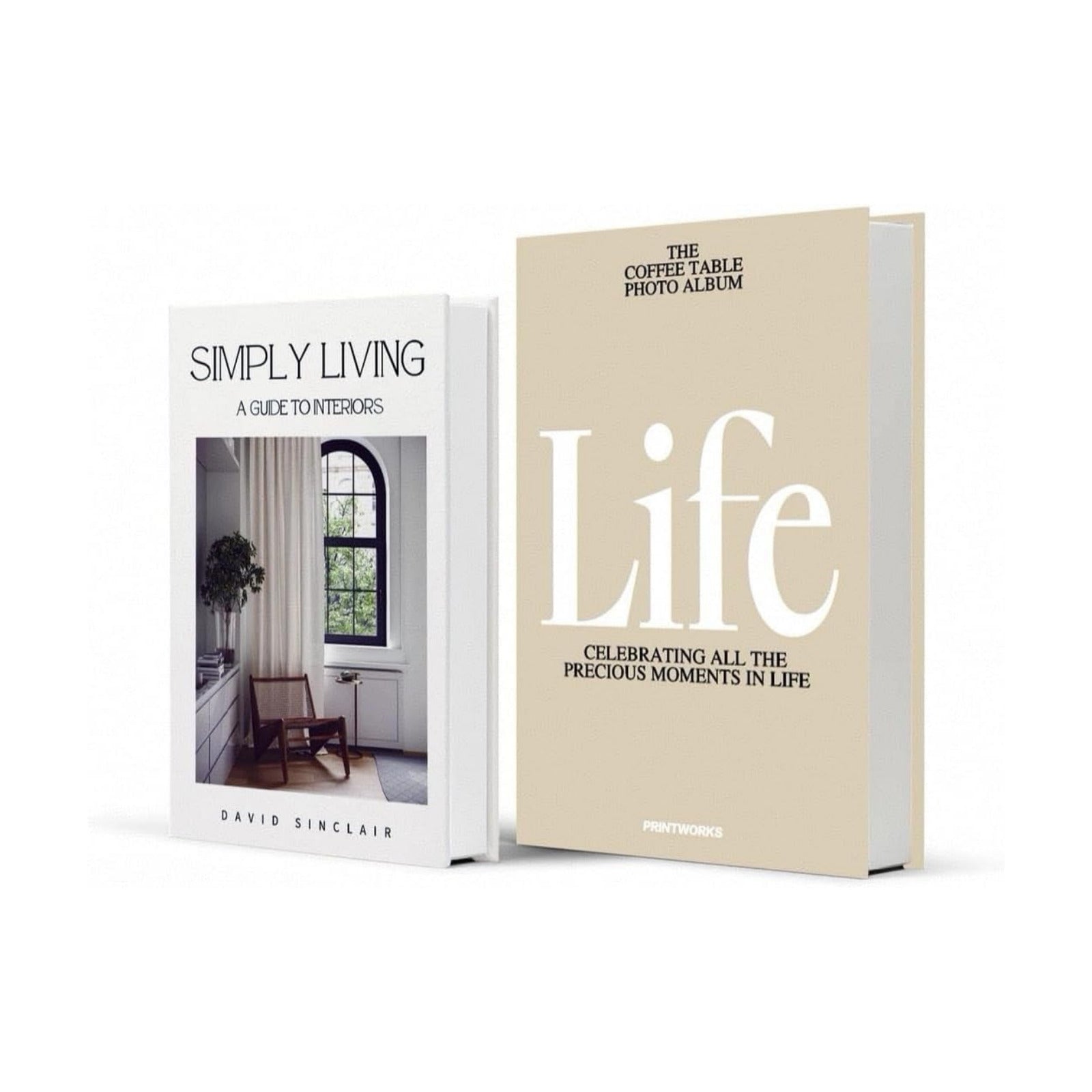 Modern Minimalist Faux Book / E1 / Set of 2