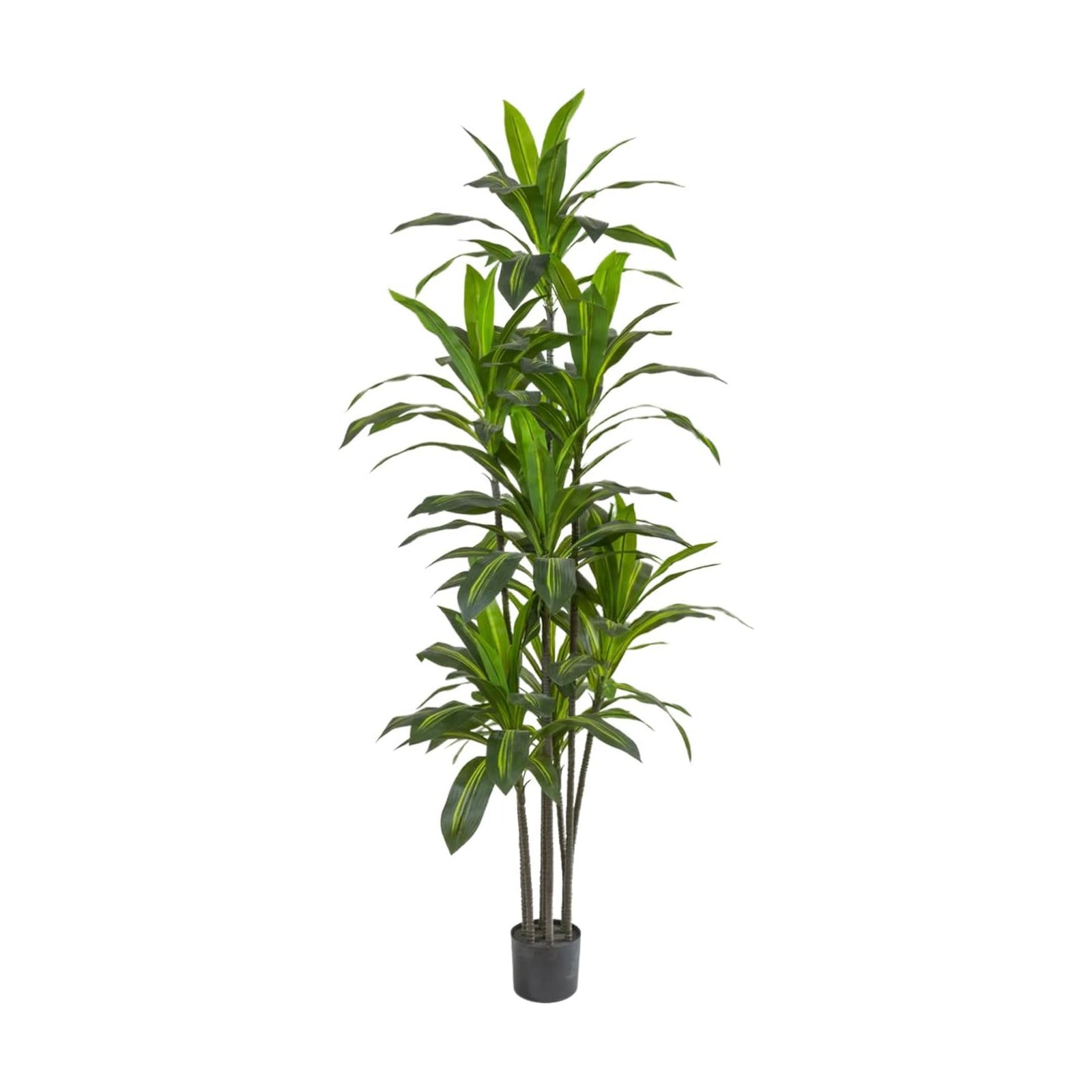 6FT Dracaena Artificial Plant - Large Tropical Indoor Fake Tree with Lifelike Leaves - Tall Faux Floor Plant in Pot for