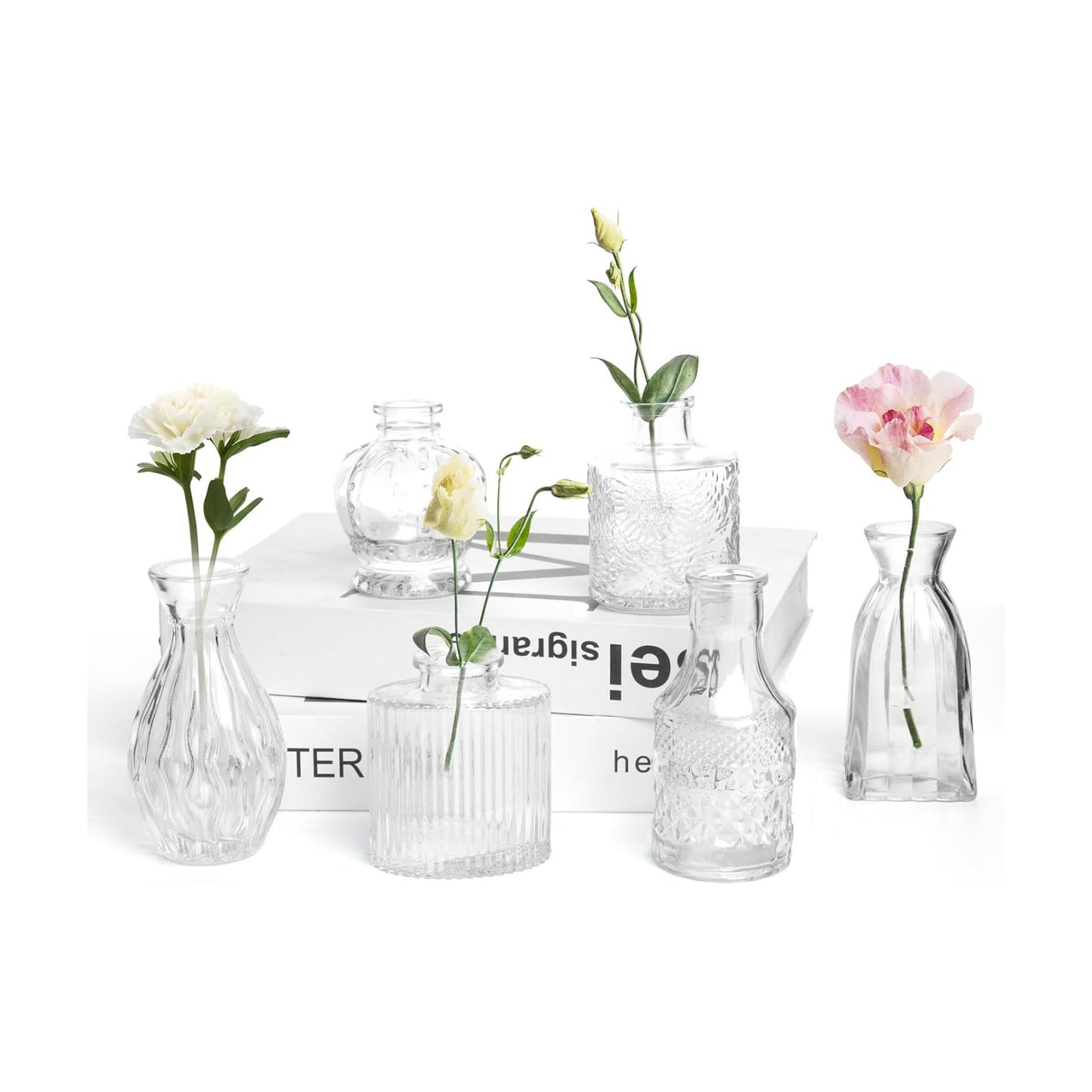 Glass Vase / Petal Petite Small Glass Bud Vase / Clear / Set of 6