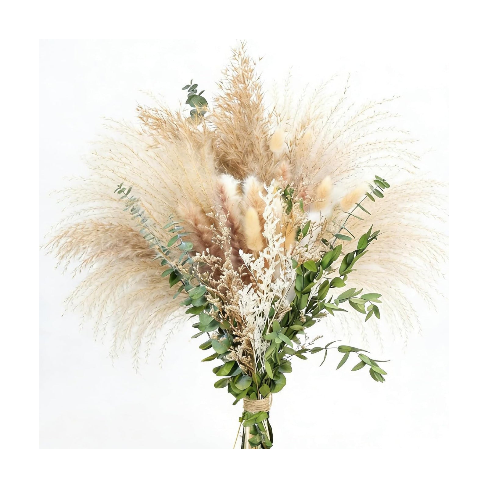 9 Varieties Mix / Natural