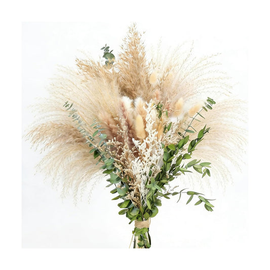 9 Varieties Mix / Natural
