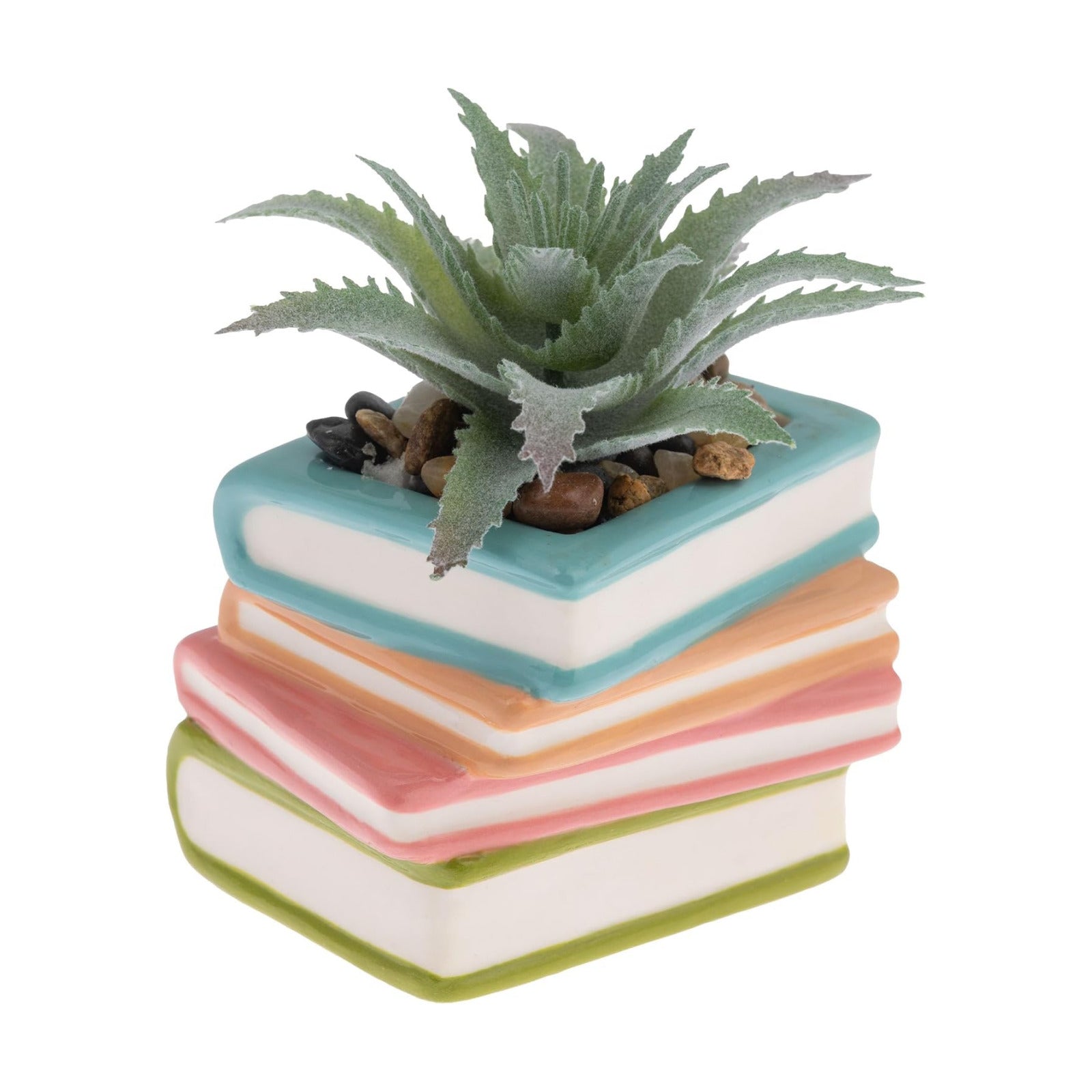 Faux Mini Succulent Plant / Books