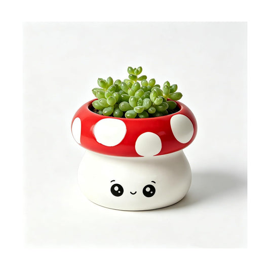 Ceramic Mushroom Planter Pot / Red
