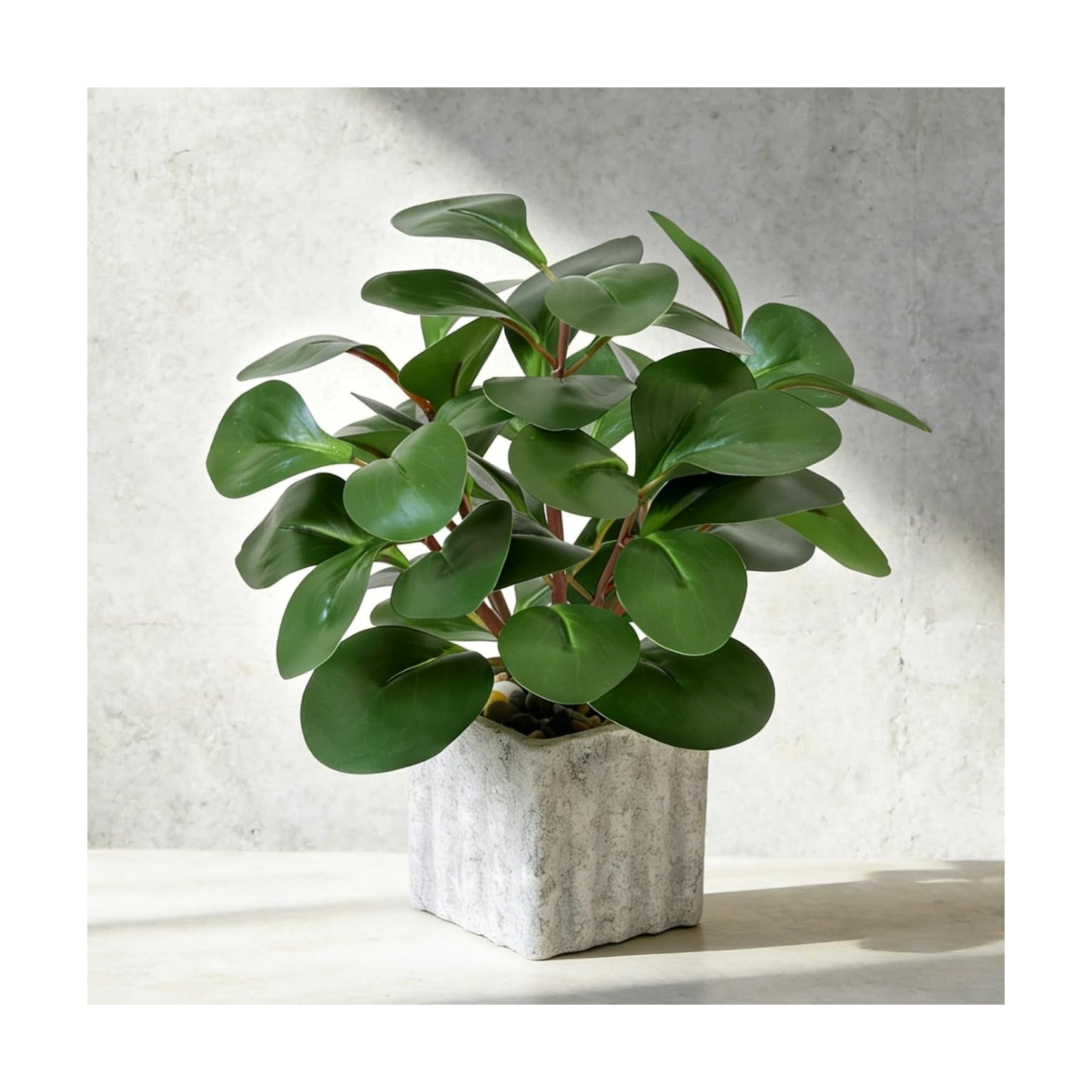 Artificial Potted Plant / Peperomia